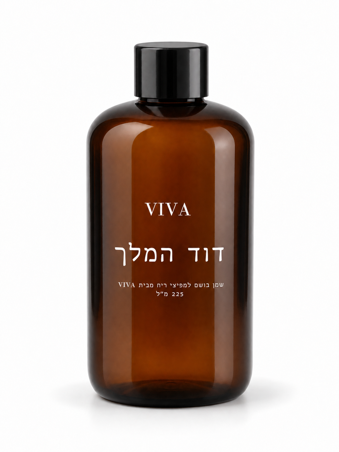 דוד המלך