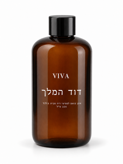 דוד המלך